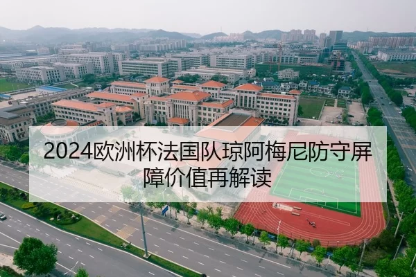 2024欧洲杯法国队琼阿梅尼防守屏障价值再解读